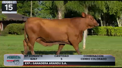 Lote LOTE 15