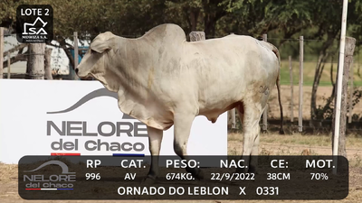 Lote LOTE 2