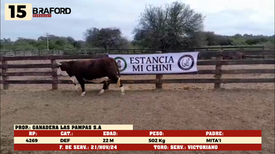 Lote LOTE 15