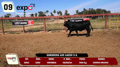 Lote LOTE 9