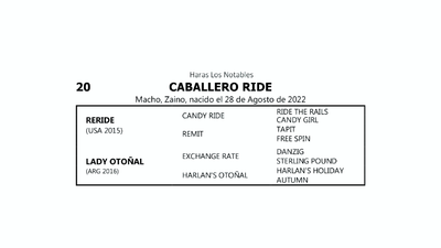 Lote CABALLERO RIDE (RERIDE -   LADY OTOÑAL  por  EXCHANGE RATE)