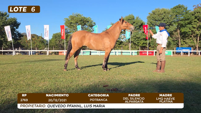 Lote LOTE 6