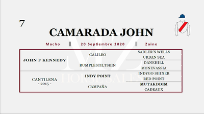 Lote CAMARADA JOHN (JOHN F KENNEDY - CANTILENA)