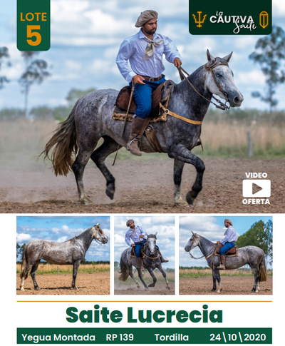 Lote LOTE 5