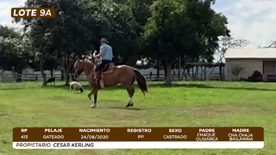 Lote LOTE 9 A- BOZAL