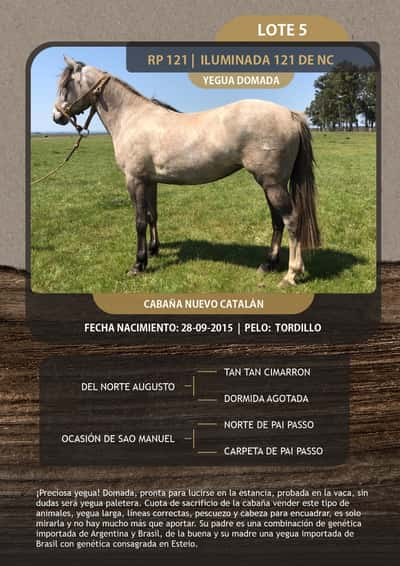 Lote ILUMINADA 121 DE NC