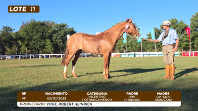 Lote LOTE 11