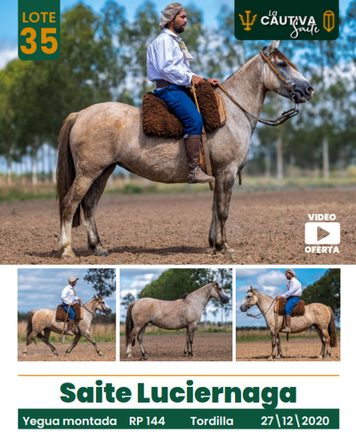 Lote LOTE 35
