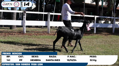Lote LOTE 14