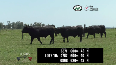 Lote 3 Toros, Artigas