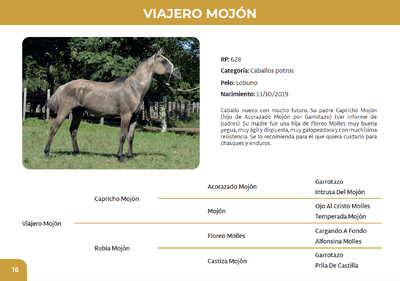 Lote Viajero Mojón (RP 628)