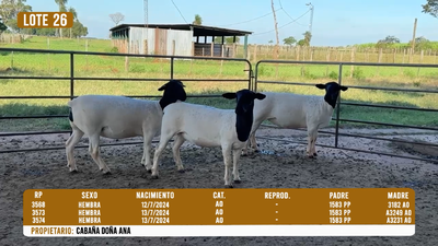 Lote LOTE 26 - DESTACADO