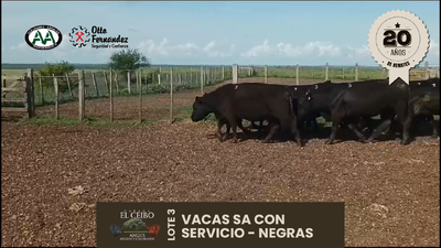Lote 11 Vientres SA, Artigas