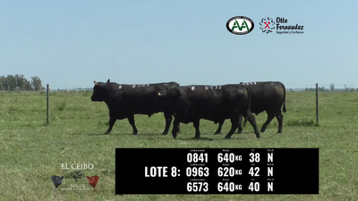 Lote 3 Toros, Artigas