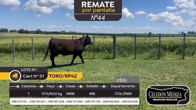 Lote Toro RP42 en Otra Localidad, Colonia