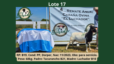Lote PP