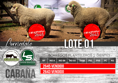 Lote LOTE 01