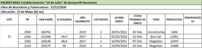 Lote Lote 21