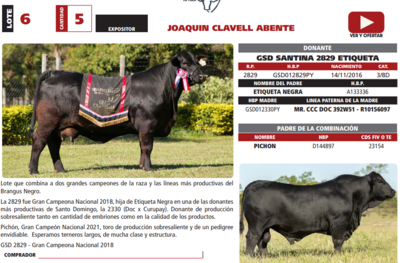 Lote LOTE 6