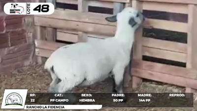 Lote LOTE 48- CAMPO