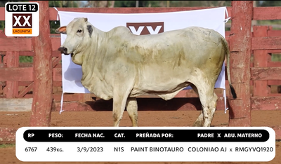 Lote LOTE 12