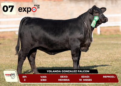 Lote LOTE 7
