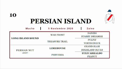 Lote PERSIAN ISLAND (LONG ISLAND SOUND - PERSIAN NUT)