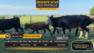 Lote 16 Piezas de cría en Paso Antolín, Colonia