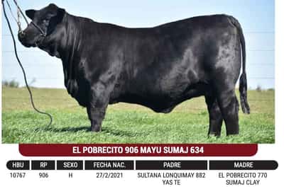Lote "CABAÑA EL POBRECITO" - EL POBRECITO 906 MAYU SUMAJ 634