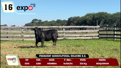 Lote LOTE 16
