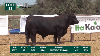 Lote LOTE 33
