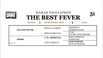 Lote THE BEST FEVER