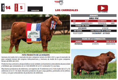 Lote LOTE 14