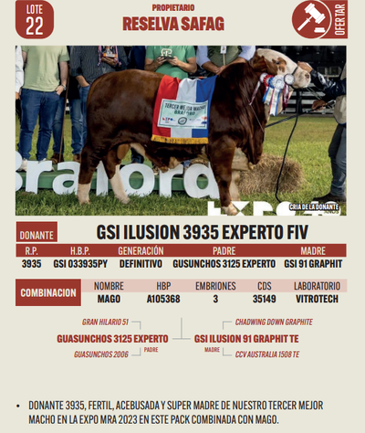 Lote LOTE 22