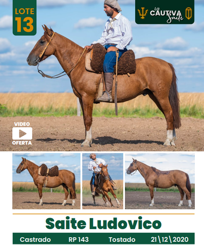 Lote LOTE 13