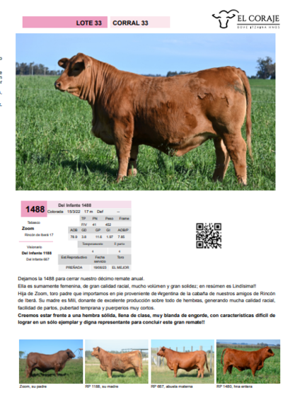 Lote Corral 33