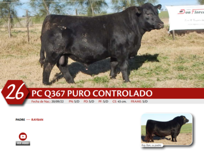 Lote MACHO PC