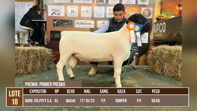 Lote LOTE 18