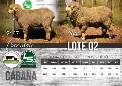 Lote LOTE 02