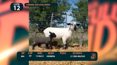 Lote LOTE 12