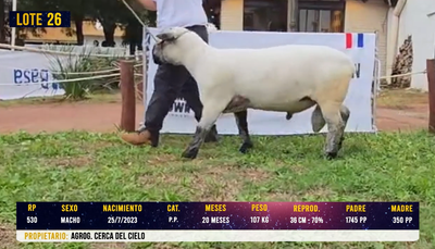Lote LOTE 26