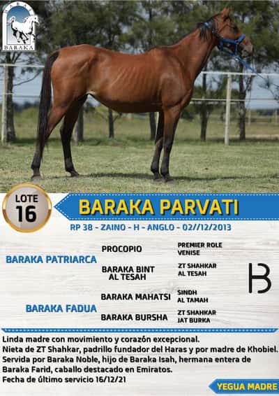 Lote BARAKA PARVATI