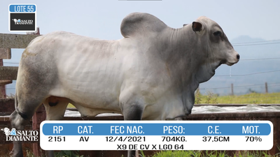 Lote LOTE 55