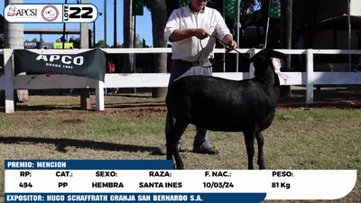 Lote LOTE 22
