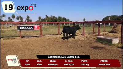 Lote LOTE 19