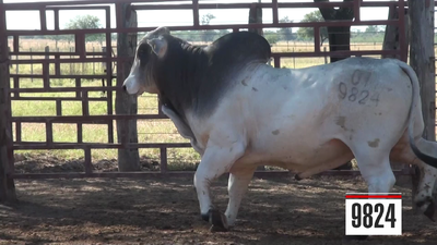 Lote Brahman