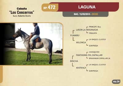 Lote RP. 472 - LAGUNA - LOS CENCERROS