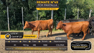 Lote 20 Terneras en Miguelete, Colonia