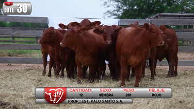 Lote LOTE 30