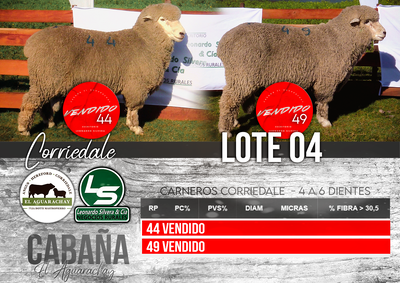 Lote LOTE 04